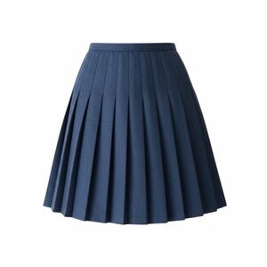 Briggs New York 1970-80's Sm To Med Grey Pleated Skirt